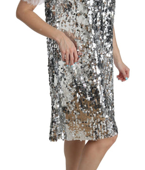 Dolce & Gabbana Elegant Silver A-Line Dress with Crystal Accents Dolce & Gabbana 