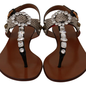 Dolce & Gabbana Elegant Strappy Sandals with Exotic Charm Dolce & Gabbana 