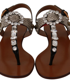 Dolce &amp; Gabbana Elegantes sandalias de tiras con encanto exótico