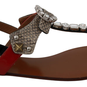 Dolce & Gabbana Elegant Strappy Sandals with Exotic Charm Dolce & Gabbana 