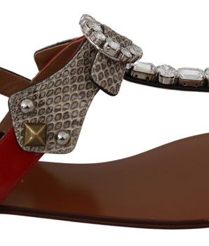 Dolce &amp; Gabbana Elegantes sandalias de tiras con encanto exótico