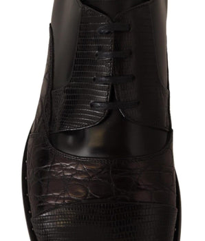 Dolce & Gabbana Elegant Black Derby Oxford Wingtips Dolce & Gabbana 