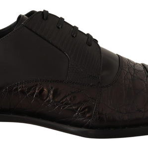 Dolce &amp; Gabbana Elegantes puntas de ala Derby Oxford negras