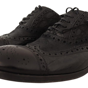 Dolce & Gabbana Exotic Leather Brogue Derby Dress Shoes