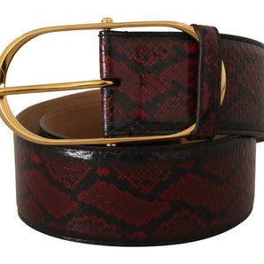 Dolce &amp; Gabbana Elegant Red Python Leather Belt with Gold Buckle