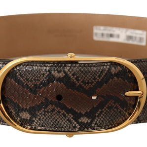 Dolce &amp; Gabbana Elegant Brown Leather Belt with Gold Buckle