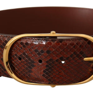 Dolce & Gabbana Elegant Python Snake Skin Leather Belt