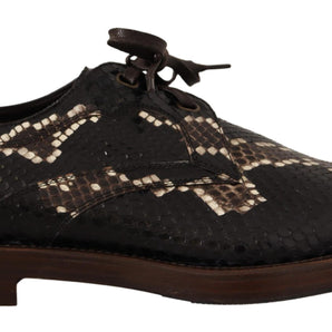 Dolce & Gabbana Elegant Formal Python Derby Shoes