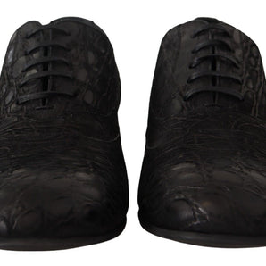 Dolce &amp; Gabbana Elegant Exotic Leather Oxford Shoes