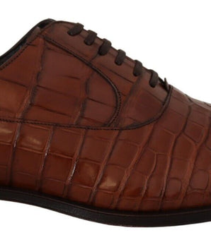 Dolce & Gabbana Brown Crocodile Leather Mens Formal Derby Shoes