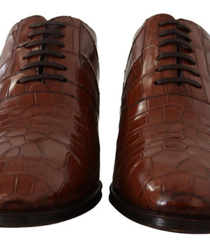Dolce & Gabbana Brown Crocodile Leather Mens Formal Derby Shoes