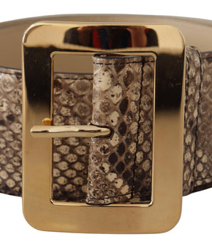 Dolce & Gabbana Brown Exotic Wide Waist Leather Gold Metal Buckle Belt