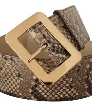 Dolce & Gabbana Brown Exotic Wide Waist Leather Gold Metal Buckle Belt