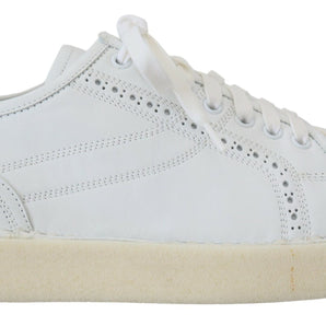 Dolce & Gabbana Elegant White Low Top Oxford Sneakers