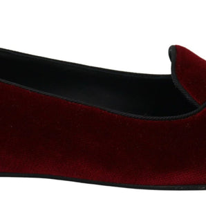 Dolce &amp; Gabbana Bordeaux Velvet Devotion Loafers