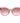 Bally Red Acetate Sunglasses