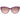 Gant Purple Women Sunglasses