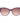 Gant Purple Plastic Sunglasses