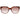 Scotch & Soda Brown Women Sunglasses
