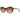 Swarovski Brown Women Sunglasses