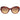 Swarovski Brown Women Sunglasses