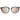 Serengeti Black Women Sunglass
