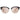 Serengeti Black Women Sunglass