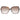 Omega Brown Women Sunglasses