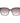 Ted Baker Multicolor TR90 Sunglasses