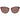 Serengeti Brown Women Sunglasses