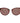 Serengeti Brown Acetate & Metal Sunglasses