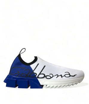 Zapatillas Dolce &amp; Gabbana Chic Low Top Sorrento en azul y blanco