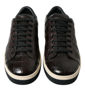 Dolce & Gabbana Brown Croc Exotic Leather Men Casual Sneakers Shoes