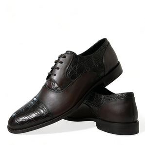 Dolce & Gabbana Elegant Brown Formal Derby Dress Shoes