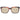 Ted Baker Multicolor Men Sunglasses