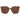 Max Mara Brown Women Sunglasses