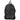 Blauer Sleek Urban Black Backpack with Laptop Sleeve