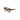 Liu Jo Brown Acetate Sunglasses