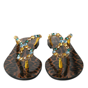 Dolce & Gabbana Mustard Crystal Calf Leather Beachwear Shoes