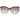 Jimmy Choo Brown Women Sunglasses