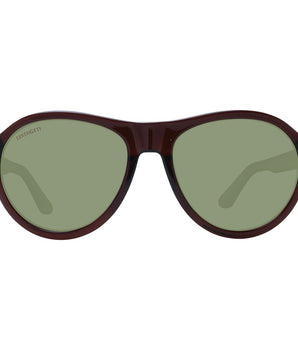 Serengeti Brown Acetate Sunglasses