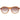 Serengeti Brown Men Sunglasses