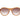 Serengeti Brown Acetate Sunglasses