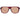 Serengeti Burgundy Men Sunglasses