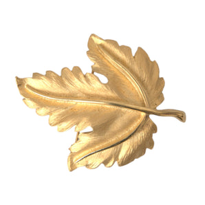 Dolce & Gabbana Gold Brass Leaf Embellished Women Brooch Pin