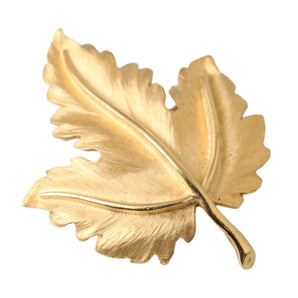 Dolce & Gabbana Gold Brass Leaf Embellished Women Brooch Pin