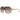 Guess Brown Women Sunglasses