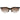 Emilio Pucci Brown Women Sunglasses