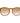 Bolle Brown Plastic Sunglasses