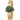 Esprit Gold Women Watch